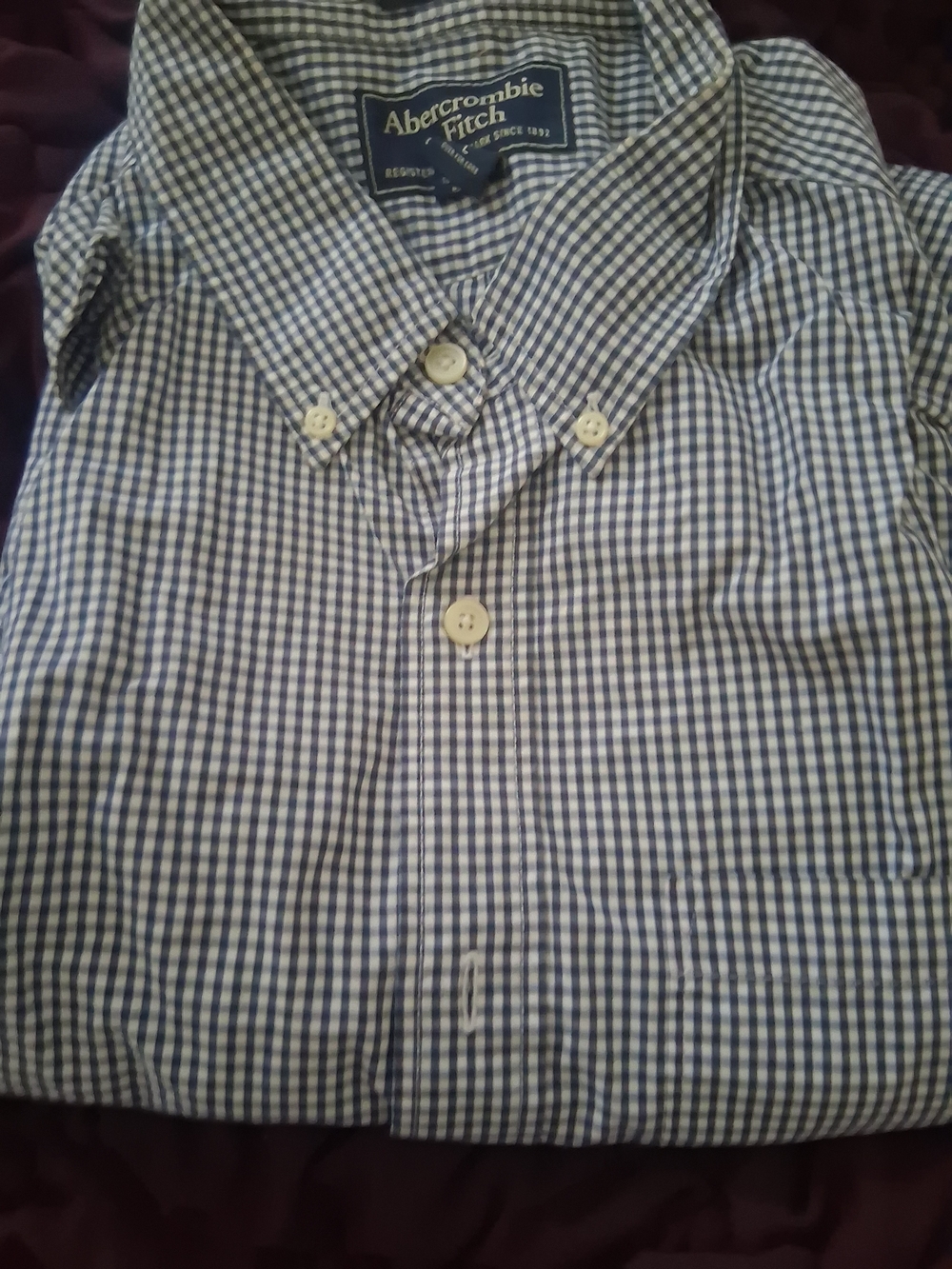 Abercrombie & Fitch Men's Blue Gingham Button-Down Shirt